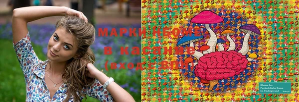 ГАЛЛЮЦИНОГЕННЫЕ ГРИБЫ Белокуриха