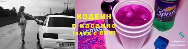 ГАЛЛЮЦИНОГЕННЫЕ ГРИБЫ Белокуриха