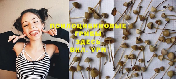 ГАЛЛЮЦИНОГЕННЫЕ ГРИБЫ Белокуриха