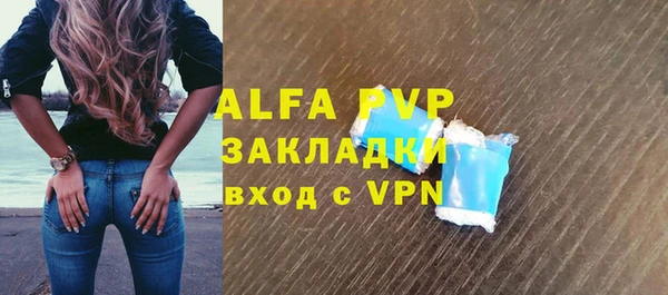 ГАЛЛЮЦИНОГЕННЫЕ ГРИБЫ Белокуриха