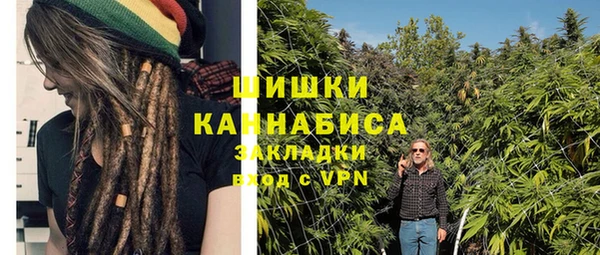 ГАЛЛЮЦИНОГЕННЫЕ ГРИБЫ Белокуриха